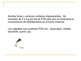 Muchas frutas y verduras contienen oligosacáridos.  Se necesitan de 4 a 8 g por día de FOS para que se incremente la concentración de bifidobacterias en el tracto intestinal. Los vegetales que contienen FOS son:  espárragos, cebolla, alcachofa, puerro, ajo. Puerro 