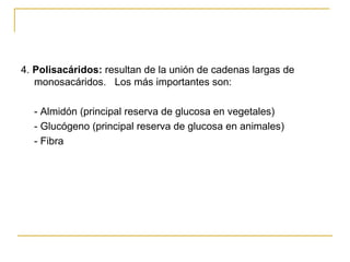 4.  Polisacáridos:  resultan de la unión de cadenas largas de monosacáridos.  Los más importantes son: - Almidón (principal reserva de glucosa en vegetales) - Glucógeno (principal reserva de glucosa en animales) - Fibra 