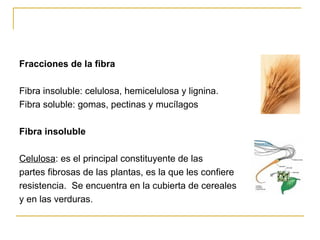 Fracciones de la fibra Fibra insoluble: celulosa, hemicelulosa y lignina. Fibra soluble: gomas, pectinas y mucílagos Fibra insoluble Celulosa : es el principal constituyente de las  partes fibrosas de las plantas, es la que les confiere  resistencia.  Se encuentra en la cubierta de cereales y en las verduras. 