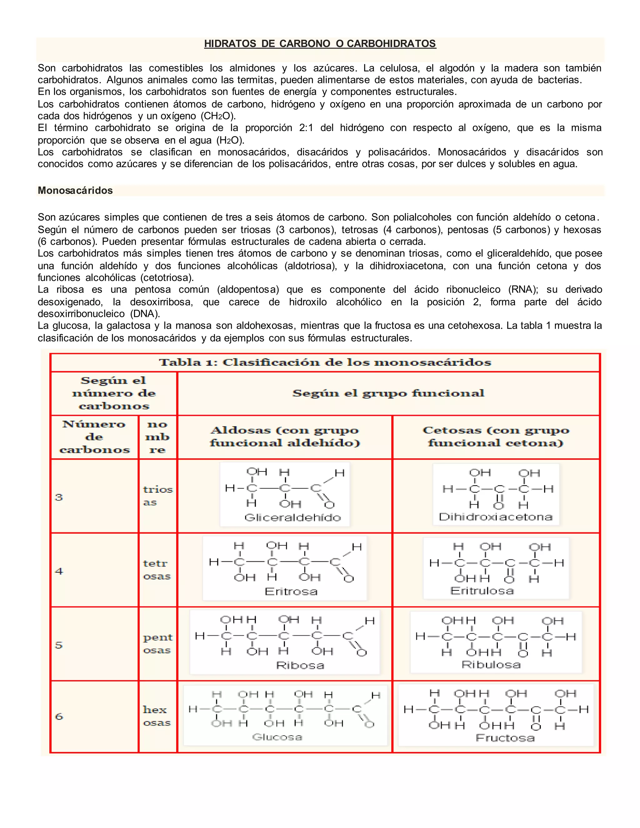 Hidratos de carbono o carbohidratos | DOCX