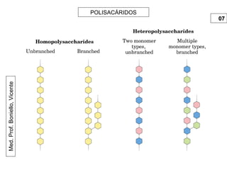 Med.Prof.Boniello,Vicente POLISACÁRIDOS
0707
 