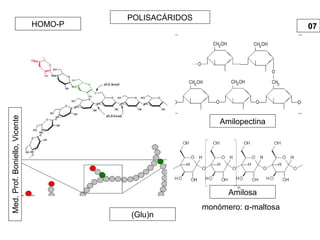 Med.Prof.Boniello,Vicente POLISACÁRIDOS
0707HOMO-P
(Glu)n
Amilopectina
monómero: α-maltosa
Amilosa
 