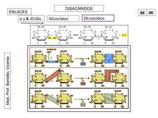 Med.Prof.Boniello,Vicente DISACÁRIDOS
ENLACES
Glicocídicoα y ß -D-Glu Glucocídico
0606 0000
 