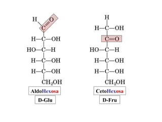 CetoHexosa
D-Fru
AldoHexosa
D-Glu
 