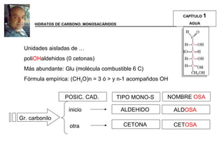 Unidades aisladas de …
poliOHaldehidos (0 cetonas)
Más abundante: Glu (molécula combustible 6 C)
Fórmula empírica: (CH2O)n = 3 ó > y n-1 acompañdos OH
Gr. carbonilo
POSIC. CAD.
inicio
otra
ALDEHIDO
CETONA
TIPO MONO-S NOMBRE OSA
ALDOSA
CETOSA
HIDRATOS DE CARBONO. MONOSACÁRIDOS
CAPÍTULO 1
AGUA
 