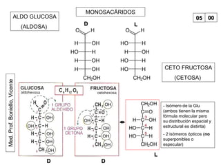 Med.Prof.Boniello,Vicente MONOSACÁRIDOS
0505 0000
DD LL
ALDO GLUCOSA
(ALDOSA)
OH
OH
OH
OH
OH
CETO FRUCTOSA
(CETOSA)
OH
OH
OH
OH
OH
DD DD
LL
- Isómero de la Glu
(ambos tienen la misma
fórmula molecular pero
su distribución espacial y
estructural es distinta)
- 2 isómeros ópticos (no
superponibles o
especular)
 