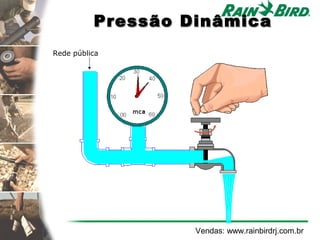 Pressão Dinâmica
Rede pública




                   Vendas: www.rainbirdrj.com.br
 