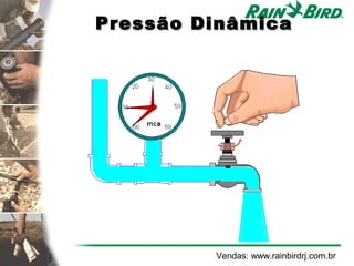 Pressão Dinâmica




         Vendas: www.rainbirdrj.com.br
 