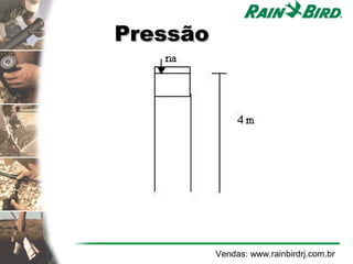 Pressão




          Vendas: www.rainbirdrj.com.br
 