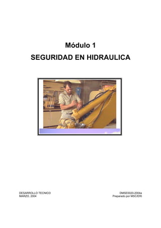 Módulo 1
SEGURIDAD EN HIDRAULICA
DESARROLLO TECNICO DMSE0020-2004a
MARZO, 2004 Preparado por MSC/ERI
 