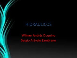 HIDRAULICOS

Wilmer Andrés Duquino
Sergio Arévalo Zambrano
 