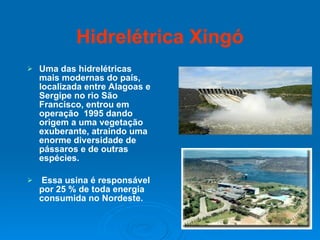 Hidrelétrica Xingó Uma das hidrelétricas mais modernas do país, localizada entre Alagoas e Sergipe no rio São Francisco, entrou em operação  1995 dando origem a uma vegetação exuberante, atraindo uma enorme diversidade de pássaros e de outras espécies. Essa usina é responsável por 25 % de toda energia consumida no Nordeste. 