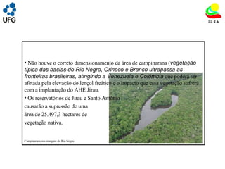 UNIVRSIDADE FEDERAL DE GOIÁS INSTITUTO DE ESTUDOS SOCIO AMBIENTAIS – IESA PLANEJAMENTO AMBIENTAL ADEMIR CASTORINO E-mail: ademircastorino@gmail.com As principais fragilidades na vegetação: Não houve o correto dimensionamento da área de campinarana ( vegetação típica das bacias do Rio Negro, Orinoco e Branco ultrapassa as fronteiras brasileiras, atingindo a Venezuela e Colômbia )  que poderá ser afetada pela elevação do lençol freático e o impacto que essa vegetação sofrerá com a implantação do AHE Jirau. Os reservatórios de Jirau e Santo Antônio  causarão a supressão de uma  área de 25.497,3 hectares de vegetação nativa. Campinarana nas margens do Rio Negro 