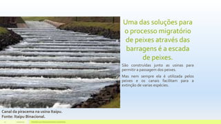 Uma das soluções para
o processo migratório
de peixes através das
barragens é a escada
de peixes.
São construídas junto as usinas para
permitir a passagem dos peixes.
Mas nem sempre ela é utilizada pelos
peixes e os canais facilitam para a
extinção de varias espécies.
11/10/2015 Hidrelétricas e Desenvolvimento Sustentável.17
Canal da piracema na usina Itaipu.
Fonte: Itaipu Binacional.
 