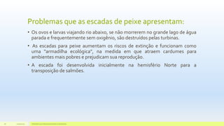 Problemas que as escadas de peixe apresentam:
• Os ovos e larvas viajando rio abaixo, se não morrerem no grande lago de água
parada e frequentemente sem oxigênio, são destruídos pelas turbinas.
• As escadas para peixe aumentam os riscos de extinção e funcionam como
uma "armadilha ecológica", na medida em que atraem cardumes para
ambientes mais pobres e prejudicam sua reprodução.
• A escada foi desenvolvida inicialmente na hemisfério Norte para a
transposição de salmões.
11/10/2015 Hidrelétricas e Desenvolvimento Sustentável.18
 