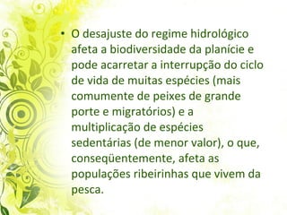 O desajuste do regime hidrológico afeta a biodiversidade da planície e pode acarretar a interrupção do ciclo de vida de muitas espécies (mais comumente de peixes de grande porte e migratórios) e a multiplicação de espécies sedentárias (de menor valor), o que, conseqüentemente, afeta as populações ribeirinhas que vivem da pesca.  