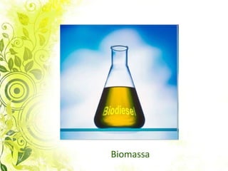 Biomassa 