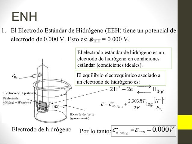 Electrodo Estándar de Hidrógeno