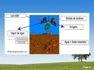 Powerpoint Templates 
Page 6 
 