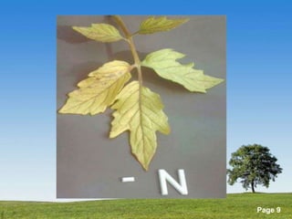 Powerpoint Templates 
Page 9 
 