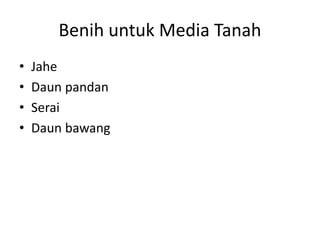 Benih untuk Media Tanah
• Jahe
• Daun pandan
• Serai
• Daun bawang
 