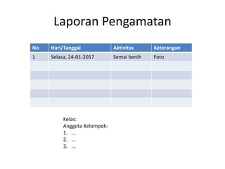 Laporan Pengamatan
No Hari/Tanggal Aktivitas Keterangan
1 Selasa, 24-01-2017 Semai benih Foto
Kelas:
Anggota Kelompok:
1. ...
2. ...
3. ...
 