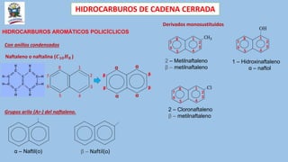 HIDROCARBUROS DE CADENA CERRADA
HIDROCARBUROS AROMÁTICOS POLICÍCLICOS
Con anillos condensados
Naftaleno o naftalina (𝑪𝟏𝟎𝑯𝟖 )
1
2
3
4
5
6
7
8
ᵝ
α
ᵝ
α
α
α
ᵝ
ᵝ
Grupos arilo (Ar-) del naftaleno.
α – Naftil(o) β – Naftil(o)
Derivados monosustituidos
CH3
1
2
4
5
6
7
8
3
2 – Metilnaftaleno
β – metilnaftaleno
Cl
1
2
4
5
6
7
8
3
OH
1
2
4
5
6
7
8
3
1 – Hidroxinaftaleno
α – naftol
2 – Cloronaftaleno
β – metilnaftaleno
 