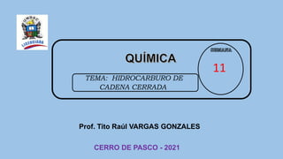 Prof. Tito Raúl VARGAS GONZALES
CERRO DE PASCO - 2021
11
TEMA: HIDROCARBURO DE
CADENA CERRADA
 