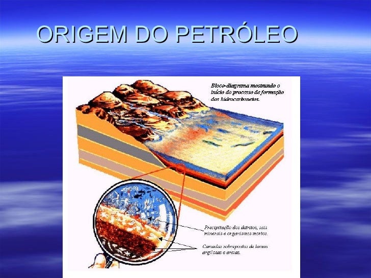 Fuvest 1991 A Origem Do Petróleo Está Associada A