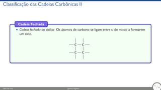 Hidrocarbonetos.pdf