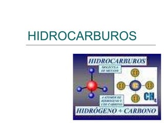 HIDROCARBUROS 