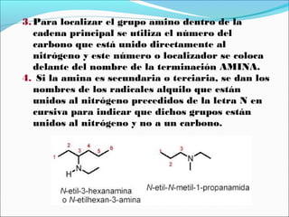 3. Para localizar el grupo amino dentro de la
cadena principal se utiliza el número del
carbono que está unido directamente al
nitrógeno y este número o localizador se coloca
delante del nombre de la terminación AMINA.
4. Si la amina es secundaria o terciaria, se dan los
nombres de los radicales alquilo que están
unidos al nitrógeno precedidos de la letra N en
cursiva para indicar que dichos grupos están
unidos al nitrógeno y no a un carbono.

 