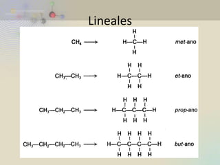 Lineales  