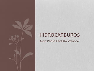 Juan Pablo Castillo Velasco
HIDROCARBUROS
 