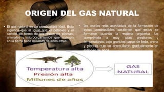 ORIGEN DEL GAS NATURAL
• El gas natural es un combustible fósil. Esto
significa que al igual que el petróleo y el
carbón se formó de los restos de plantas,
animales y microorganismos que vivieron
en la tierra hace millones de años atrás.
• las teorías más aceptadas de la formación de
estos combustibles sostienen que estos se
formaron cuando la materia orgánica fue
comprimida a muy altas presiones y
temperaturas, bajo grandes capas de lodo, arena
y piedras que se acumularon gradualmente en
millones de años.
 