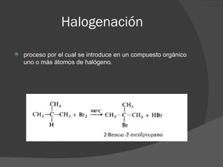 Halogenacion Hidrocarburos – alcanos, alquenos y alquinos | PPT