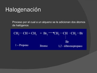 Halogenacion Hidrocarburos – alcanos, alquenos y alquinos | PPT