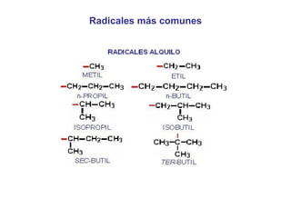Radicales más comunes 