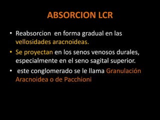 ABSORCION LCR
• Reabsorcion en forma gradual en las
  vellosidades aracnoideas.
• Se proyectan en los senos venosos durales,
  especialmente en el seno sagital superior.
• este conglomerado se le llama Granulación
  Aracnoidea o de Pacchioni
 