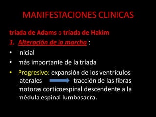 MANIFESTACIONES CLINICAS
tríada de Adams o tríada de Hakim
1. Alteración de la marcha :
• inicial
• más importante de la tríada
• Progresivo: expansión de los ventrículos
    laterales          tracción de las fibras
    motoras corticoespinal descendente a la
    médula espinal lumbosacra.
 