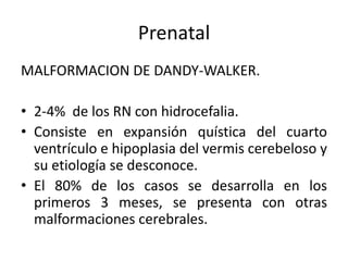Prenatal
MALFORMACION DE DANDY-WALKER.

• 2-4% de los RN con hidrocefalia.
• Consiste en expansión quística del cuarto
  ventrículo e hipoplasia del vermis cerebeloso y
  su etiología se desconoce.
• El 80% de los casos se desarrolla en los
  primeros 3 meses, se presenta con otras
  malformaciones cerebrales.
 