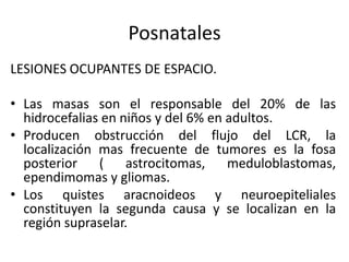Posnatales
LESIONES OCUPANTES DE ESPACIO.

• Las masas son el responsable del 20% de las
  hidrocefalias en niños y del 6% en adultos.
• Producen obstrucción del flujo del LCR, la
  localización mas frecuente de tumores es la fosa
  posterior    (    astrocitomas,    meduloblastomas,
  ependimomas y gliomas.
• Los quistes aracnoideos y neuroepiteliales
  constituyen la segunda causa y se localizan en la
  región supraselar.
 