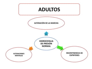 ADULTOS

               ALTERACIÓN DE LA MARCHA




                   HIDROCEFALIA
                    DE PRESIÓN
                     NORMAL


ALTERACIONES                             INCONTINENCIA DE
  MENTALES                                  ESFÍNTERES
 