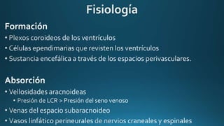 Formación
Absorción
 