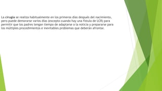 La cirugía se realiza habitualmente en los primeros días después del nacimiento,
pero puede demorarse varios días (excepto cuando hay una fístula de LCR) para
permitir que los padres tengan tiempo de adaptarse a la noticia y prepararse para
los múltiples procedimientos e inevitables problemas que deberán afrontar.
 