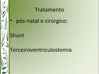 Tratamento 
• pós-natal e cirúrgico: 
Shunt 
Terceiroventriculostomia 
 