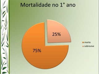 Mortalidade no 1° ano 
 