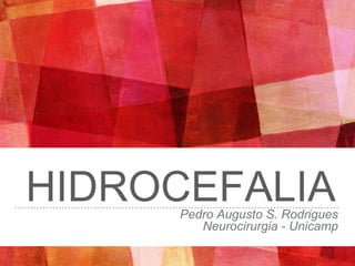 HIDROCEFALIAPedro Augusto S. Rodrigues
Neurocirurgia - Unicamp
 