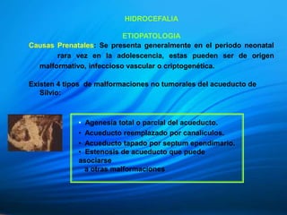 HIDROCEFALIA
ETIOPATOLOGIA
Causas Prenatales: Se presenta generalmente en el periodo neonatal
rara vez en la adolescencia, estas pueden ser de origen
malformativo, infeccioso vascular o criptogenética.
Existen 4 tipos de malformaciones no tumorales del acueducto de
Silvio:
• Agenesia total o parcial del acueducto.
• Acueducto reemplazado por canaliculos.
• Acueducto tapado por septum ependimario.
• Estenosis de acueducto que puede
asociarse
a otras malformaciones
 