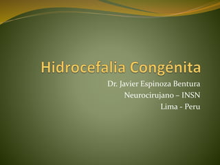 Dr. Javier Espinoza Bentura
Neurocirujano – INSN
Lima - Peru
 